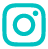 ins icon