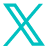 x icon