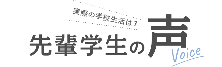 先輩学生の声