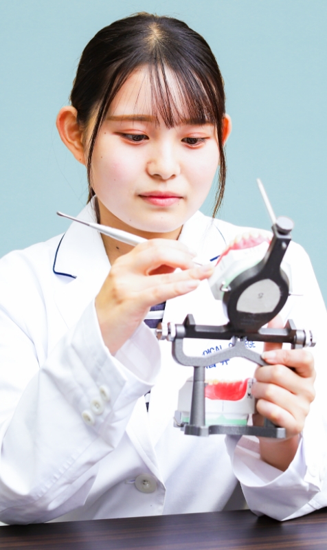 歯科技工士学科