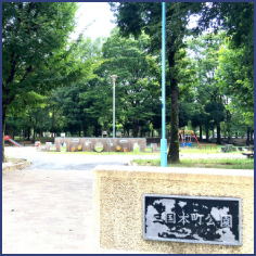 緑いっぱいの公園もあります。