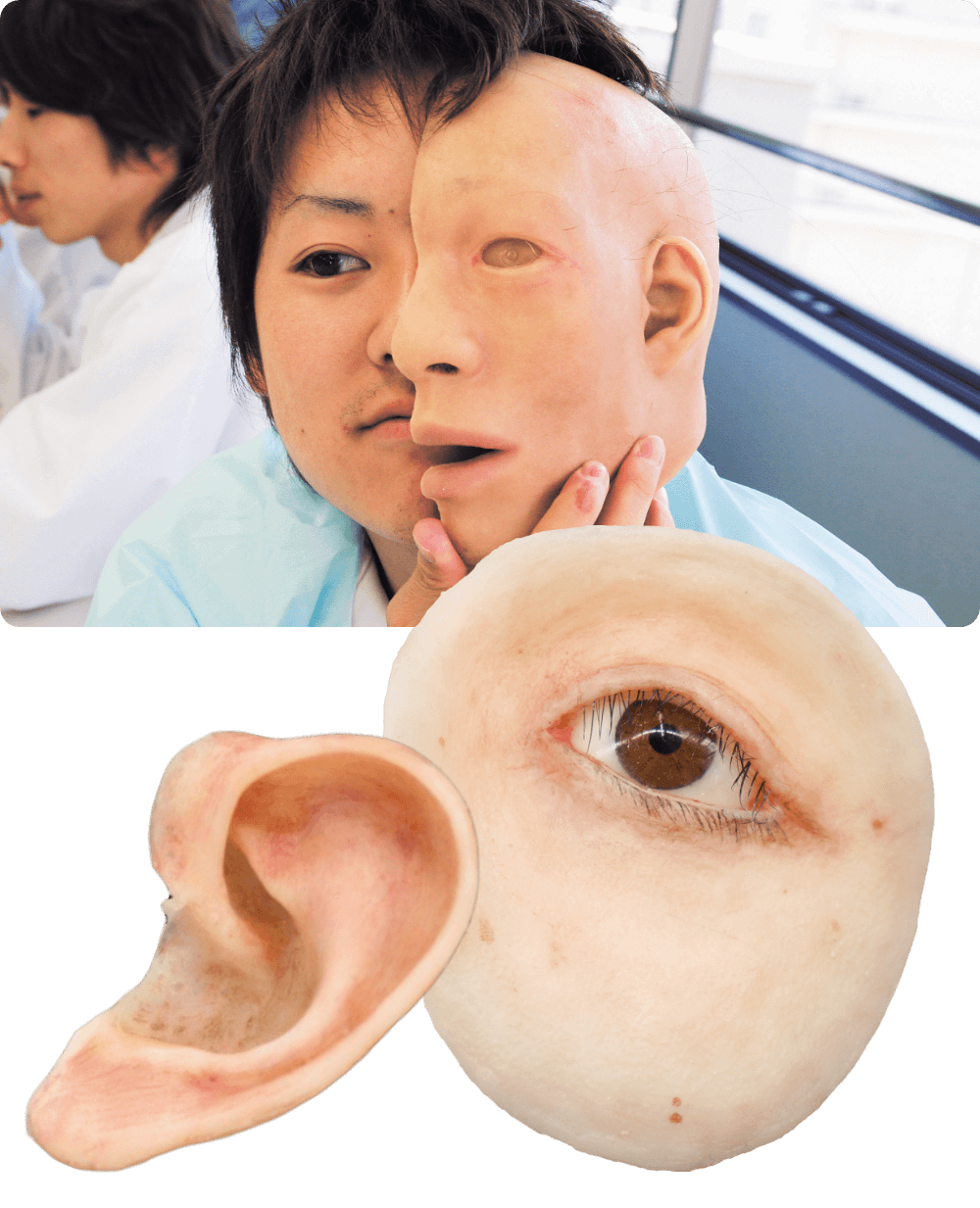 顎顔面補綴（エピテーゼ）実習