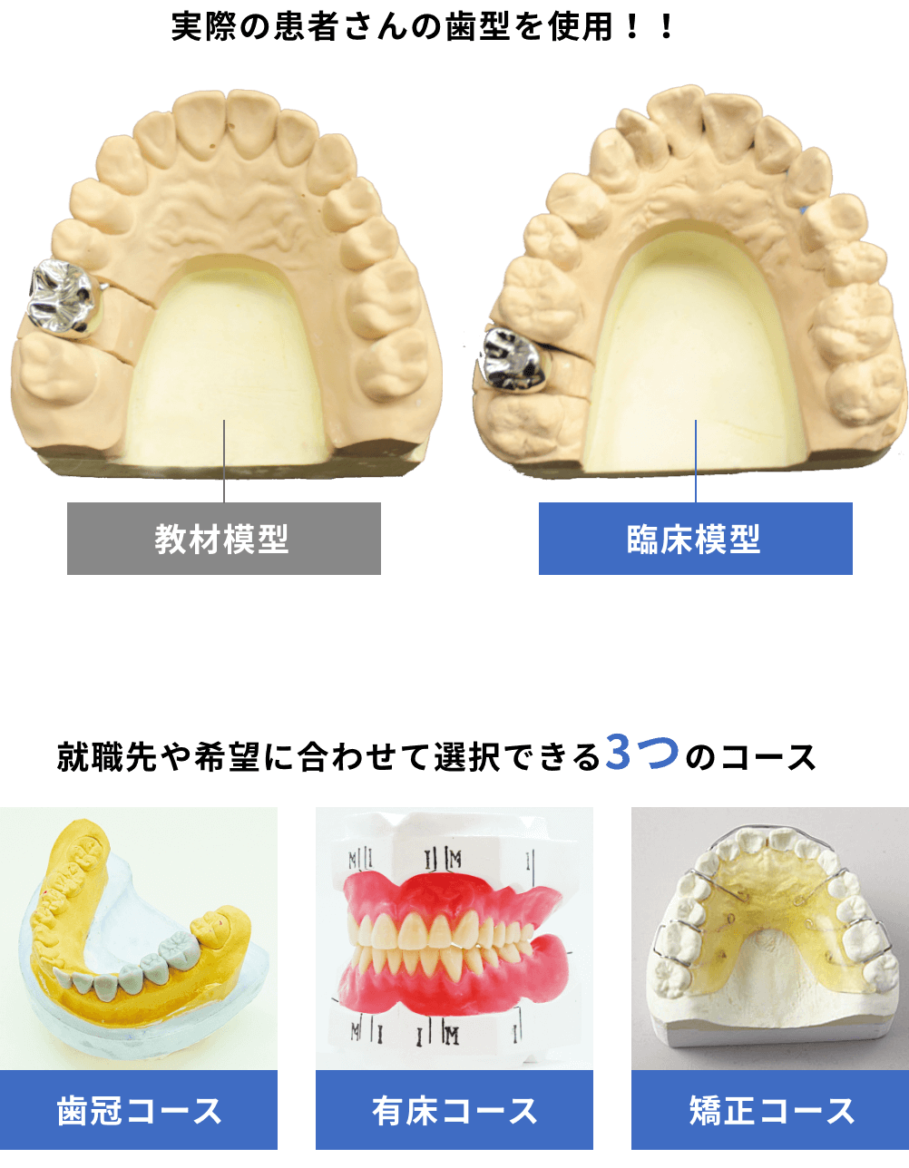 臨床模型実習