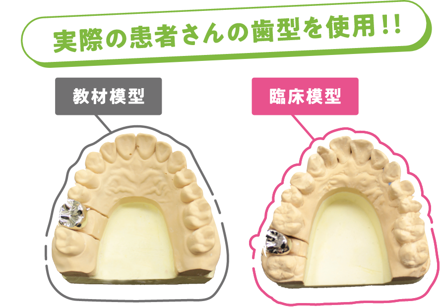 就職後をイメージした選択授業で実践力が身に付く!