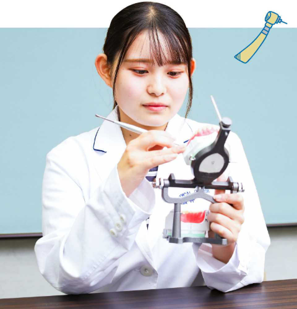 歯科技工士学科