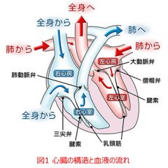 ちょっと難しいけど覚えとくとええですよ