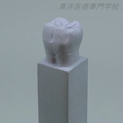歯型彫刻部門　最優秀賞　～下顎左側第一大臼歯の石膏彫刻～