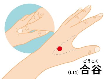 合谷