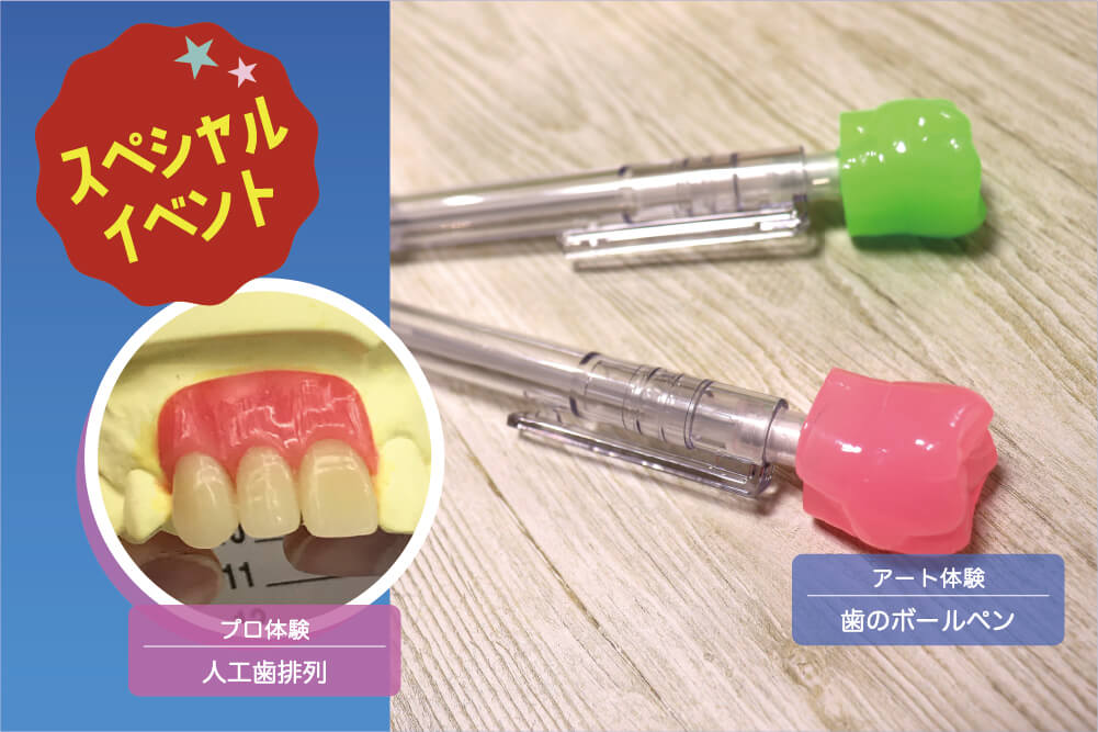 【プロ】人工歯排列 【アート】歯のボールペン
