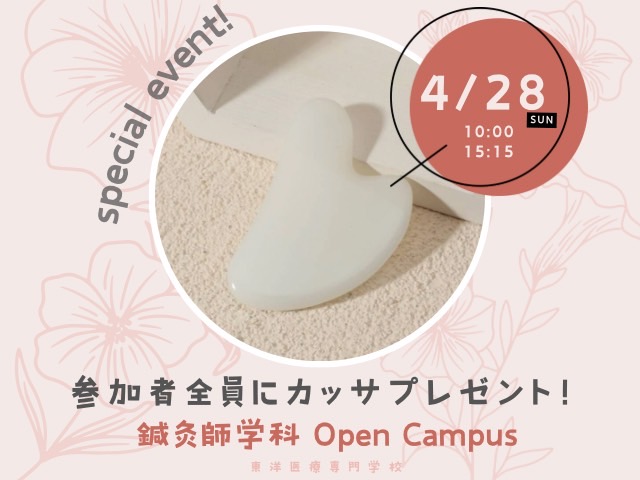 【全員かっさプレゼント💝】美容体験💆💕