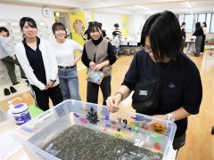 コイン落としで目指せ景品！