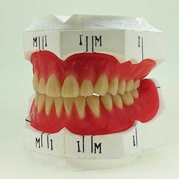 総義歯部門2年生受賞者の作品！