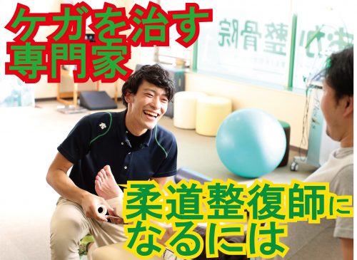 柔道整復師の資格取得までの流れを解説 東洋医療専門学校 大阪 柔道整復師の資格取得までの流れを解説 東洋医療専門学校 大阪